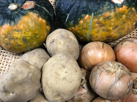 《北海道産》味自慢！秋の野菜セット