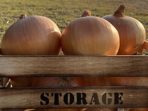 「肉厚ジューシー」黄金玉ねぎ　あま〜くて美味しい淡路島玉ねぎ　5kg