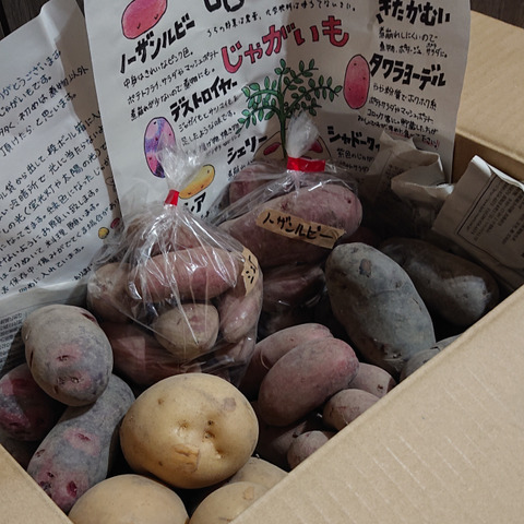 無農薬 訳あり 新ジャガ5 6種4 高知県のレビュー一覧 食べチョク 農家 漁師の産直ネット通販 旬の食材を生産者直送