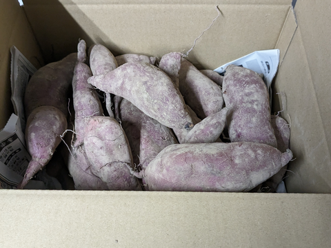 訳あり！サツマイモ（紅はるか）5kg箱込み