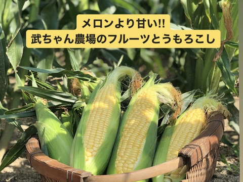 メロンより甘い 武ちゃん農場の朝採りとうもろこし 330g程度が6本 愛知県産 食べチョク 農家 漁師の産直ネット通販 旬の食材を生産者直送 メロンより甘い 武ちゃん農場の朝採りとうもろこし 330g程度が6本 愛知県産 食べチョク 農家 漁師の産直ネット通販 旬の食材を生産者直送