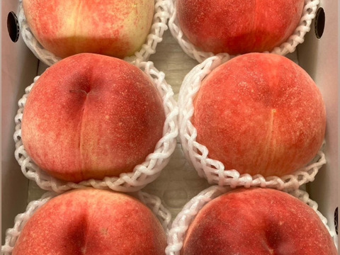 朝採り新鮮！山梨の桃　2kg