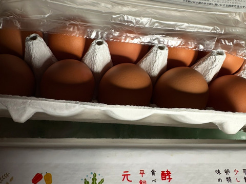 (税込) 平飼い40個】酵母を与えて育った平飼いたまご40個（元気たまご 野菜