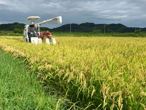 農家直送 徳島県産 新米  玄米23kg送料無料 楽天市場】徳島県産 新米 玄米 30kgの通販