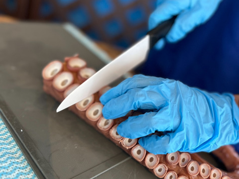 【インパクト大！】北海道白老産　活茹で水だこ（足）1.4㎏1本【3等分真空加工】