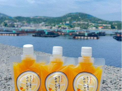 みかんゼリー12個入り