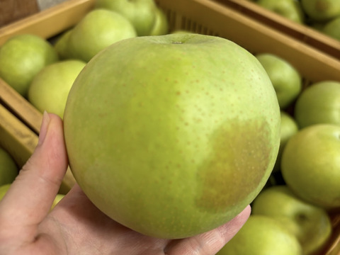 二十世紀梨　優品　10キロ