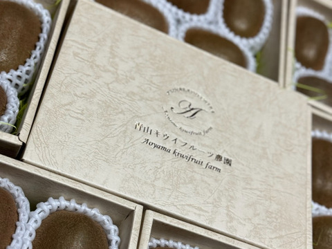 【クール便】【本州以外の方向け】グリーンキウイフルーツ 中サイズ 5玉　小箱　化粧袋付き【冬ギフト】【御歳暮】追熟処理済 贈答用