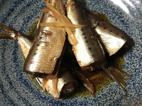 愛知県，日間賀島産 食用 天然 真鰯 イワシ【漁師激選】40匹で2Kg
脂乗り最高❗️注文から1週間以内に発送，