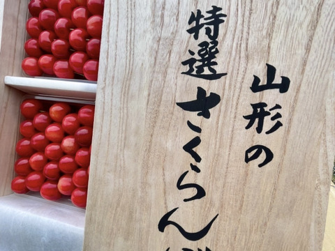 【プレミアム厳選】※超数量限定【朝どれ】《佐藤錦》さくらんぼ 山形県東根産 1kg L.2L 秀・特秀品 贈答用