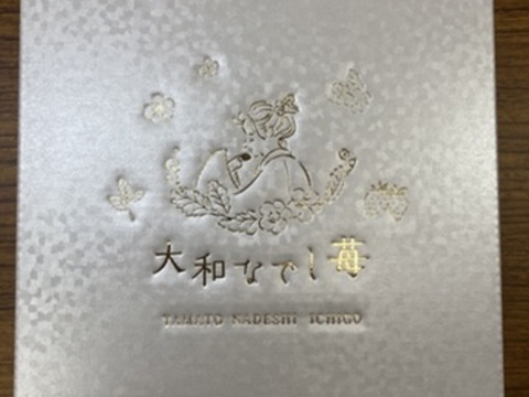 🏆いちごグランプリ　🏆いちご選手権受賞　大和なでし苺　古都華　6粒入り　特大　いちご　300g 奈良県　橋本農園　イチゴ 化粧箱　贈答用にも