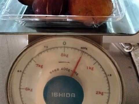 農薬不使用栽培　兵庫産 ご家庭用　イチジク　500ｇ②