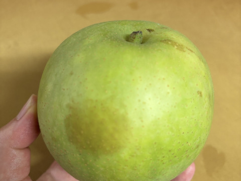 二十世紀梨　優品　10キロ