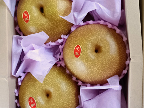 果汁たっぷり糖度13以上美味しい
大きな豊水梨 3個入り