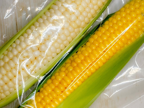 朝採り16本🌽白いとうもろこしと黄色いとうもろこしのセット(8本×2種)