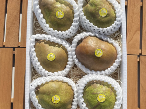 ★甘くとろける～特秀ラフランス～　（６～８玉）入り　２ｋｇ　2箱同梱セット