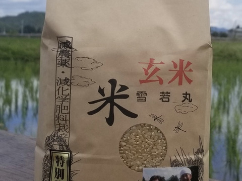 【令和7年】特別栽培米雪若丸精白米2kg 玄米2㎏