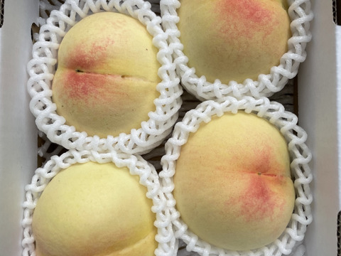 【家庭用】清水白桃🍑【４～６玉入】2箱