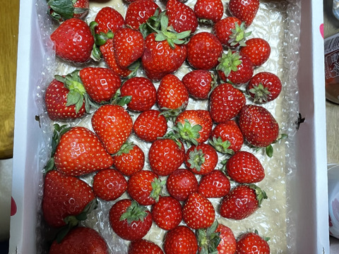 【訳あり！】あまりん大容量６５０ｇ以上