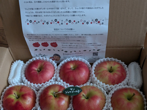 【人気品種】サンジョナゴールド🍎約3キロ 8〜11玉《家庭用》ID164802