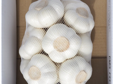 にんにくの概念が変わる!「生にんにく」12玉【数量限定】6月中旬以降お届け