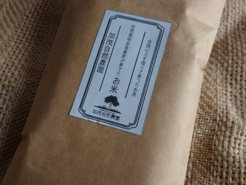 ササニシキ 2合 （300g）（2024） 自然栽培お茶農家が育てたお米　加茂自然栽培　農薬・肥料不使用