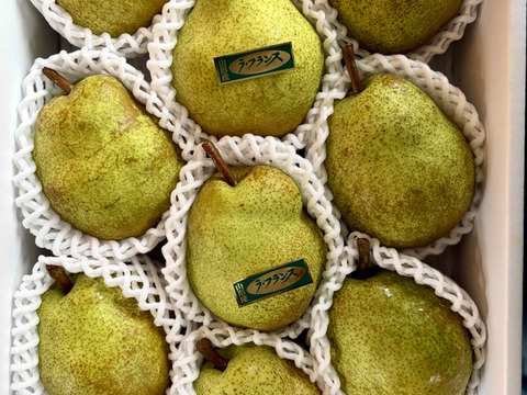 山形県産　ラフランス　3キロ