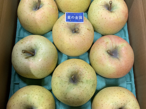 まるかじり！星の金貨🍏