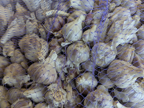 【予約増量】　料理のグレードがグッと上がる　葉ニンニク　(^^♪　　500g→525g from 名水の里　神奈川県秦野市