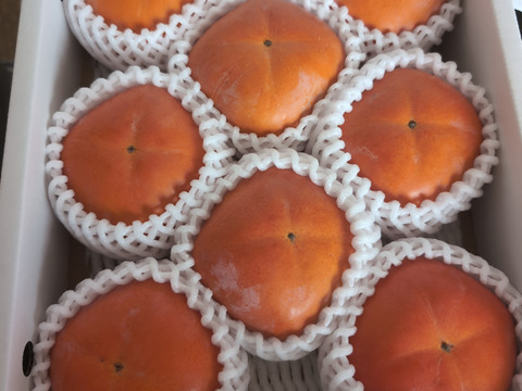 黒ゴマ果肉の紀の川柿【小箱・秀品】和歌山、天空の村