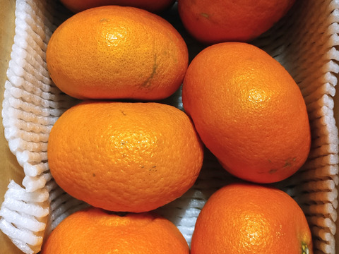 「甘平」2kｇ　家庭用！！
サクサク食感♪ 順次発送中〜