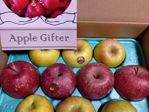 りんごグランプリ2025カラフルりんご賞受賞🎊りんごグランプリエントリーセット（家庭用3kg・7~12玉）