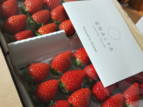 複数品種】旬のいちご食べ比べ 4P お得なご家庭用！ 230g×4p