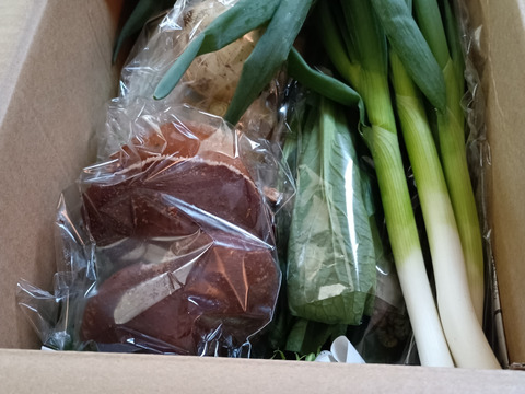 京都美山かやぶき京野菜セット❗【80サイズ】【6～7品目】