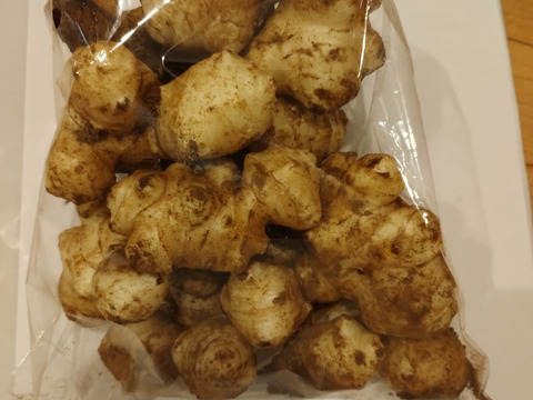 低カロリーのヘルシー食材！寒暖差で甘みも増した『キクイモ』イヌリン豊富で血糖値の高さが気になる方にもオススメ♪【世界三大健康野菜】1kg