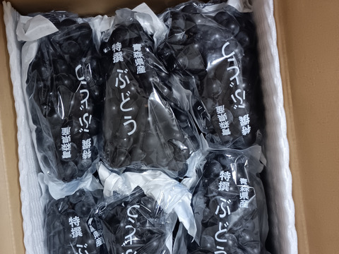 ≪家庭用・加工用≫☆昭和の味☆ 青森県産キャンベル・アーリー 約3~
4㎏詰め