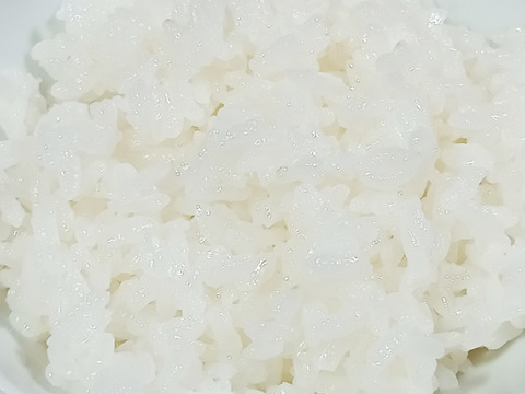 【数量限定】新潟県産コシヒカリ 令和7年度新米 白米 自家消費用お裾分け