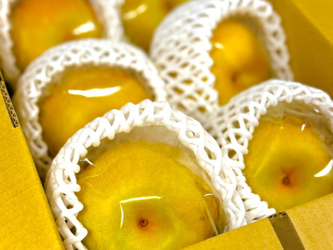 【すぐ発送可】糖度センサー測定！長生き幸水梨『長寿梨（チョウジュリー）』贈答用6玉