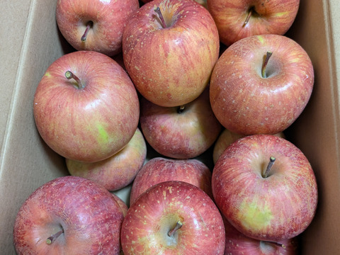 【大特価！🍎訳あり・サンふじ】  4㎏ (サイズミックス 17～20個)