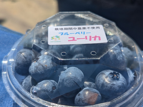 【パリｯ！プリｯ✨】ユーリカ
400g  間もなく終了