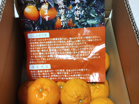 【家庭用】不知火 4.5kg 糖と酸のせめぎ合い♡スッキリ系ジューシー柑橘♫愛媛みかん！！デコ！！