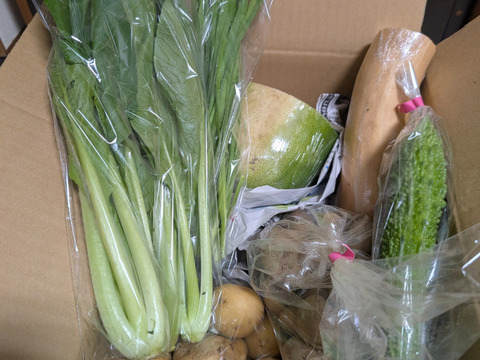 月〜木曜日限定で翌日までに発送!!お楽しみ★農園自慢の情熱野菜セット　7袋　　フードロス対策　パチャママ農園　訳あり　規格外