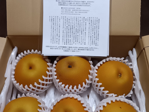 甘みと酸味が最高！豊水梨(家庭用）約2.5kg(5〜8玉)：福岡県産の豊水