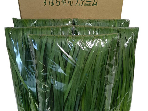 ニラ100g×10束セット(1キロ)