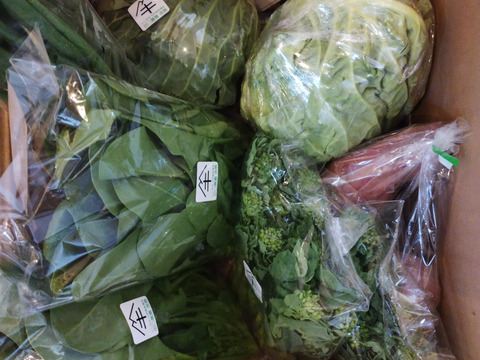 定期便設定（お届け日は２～３日前後します）【たっぷりいろいろ　２０００円セット】農家人が選ぶ旬野菜のおまかせセットです。季節ごとの旬の世界農業遺産ブランド野菜を厳選してお届け致します。