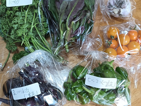 野菜ソムリエ厳選！旬の新鮮野菜ガチャ 
9連