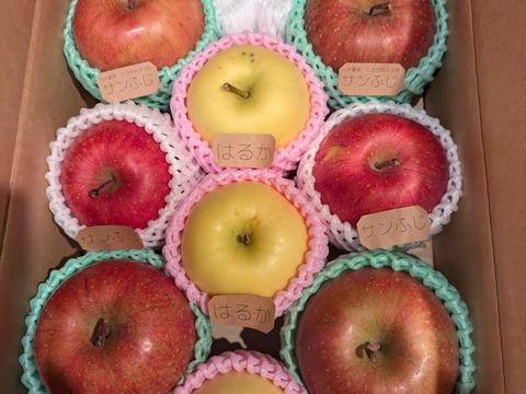 ☆農薬不使用りんご☆と特別栽培りんご(品種おまかせ)詰め合わせ3キロ（８〜１２玉）