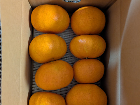 「甘平」2kｇ　家庭用！！
サクサク食感♪ 順次発送中〜