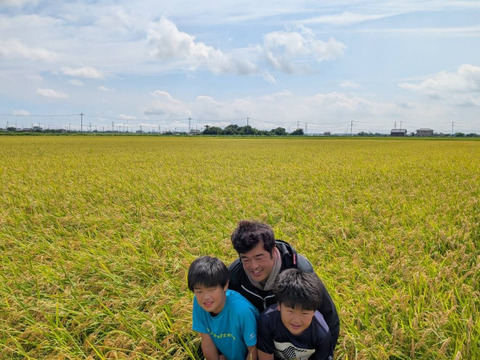 残留農薬ゼロの米コシヒカリ玄米5kg