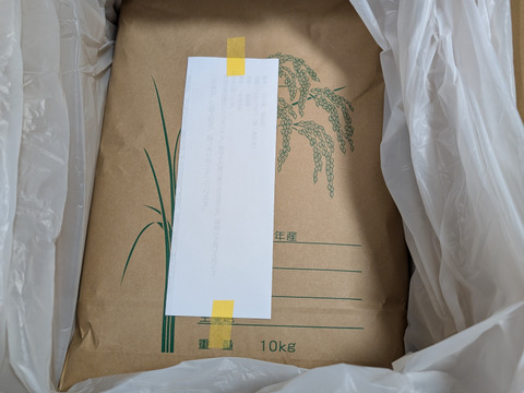 【令和7年産 こしひかり白米10㎏】　　【母の日ギフト】